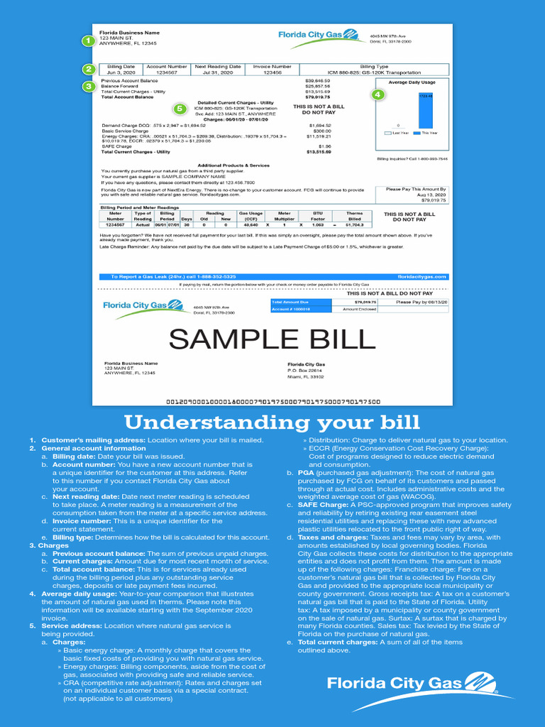 Understanding Your Florida Gas Bill | PDF | Invoice | Taxes