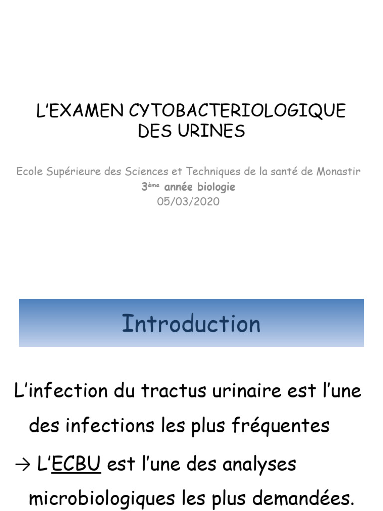 ECBU | PDF | Urine | Infection urinaire