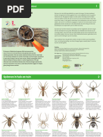 Zoekkaart Tuinspinnen-1