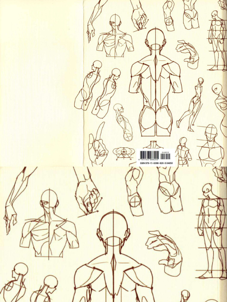 Point Character Drawing - Volume 1 (TACO) (Z-Library) - Comprimido ...