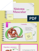 Presentación Sistema Muscular