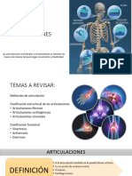 Sistema Articular