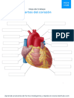 Worksheet Heart Blank Spanish