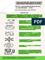 Infográfico Eixo III CONAE