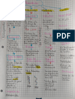 Gráfico de Biomoléculas