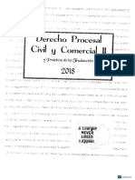 Derecho Procesal Civil y Comercial II y Practica de La Traduccion
