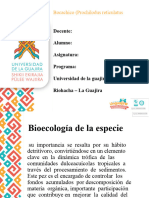 Bocachico (Prochilodus Reticulatus)