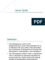 Phosphorus Cycle PPT