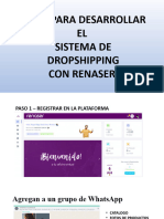 Sistema Droshiping Renaser 2022