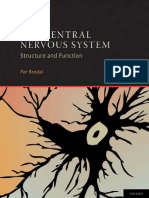 Neuroanatomy - Brodal