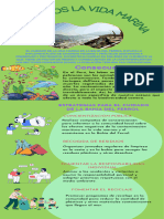 Infografía Medioambiente Reciclaje Ilustrada Modena Colorida