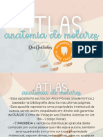 Atlas @dradentinhos - @macrodente