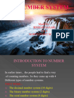 The Number System (Computer)