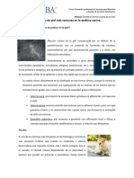 L5 Estética Canina y Salud de La Piel - Problemas de Piel Más Comunes en La Estética Canina