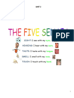 G5 Unit 2 Five Senses
