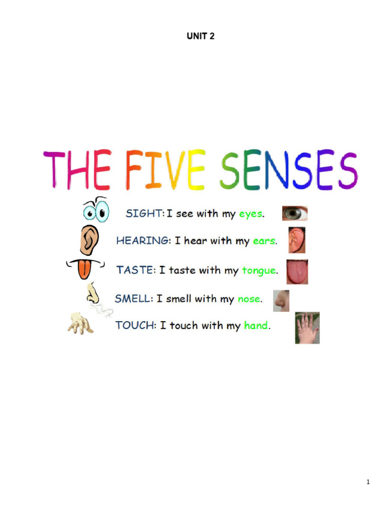 G5 Unit 2 Five Senses | PDF | Senses | Ear