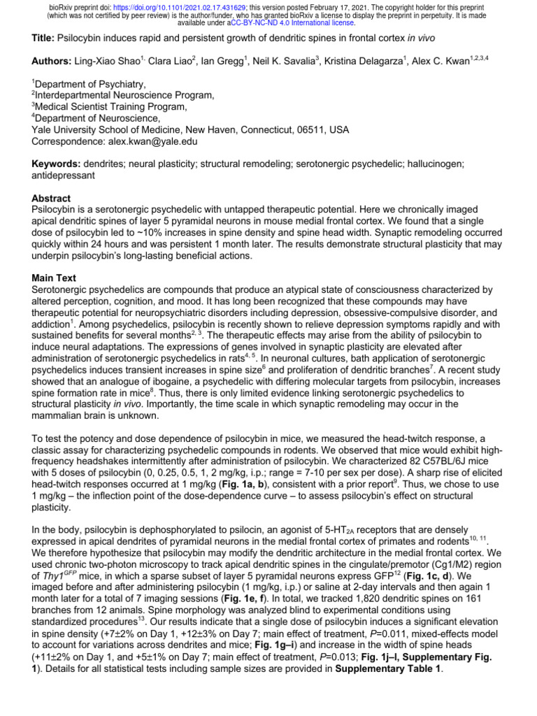Psilocybin The Unexpected Key To Cellular Longevity - lhj5503
