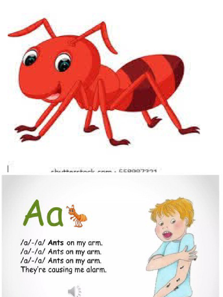 Ants PDF
