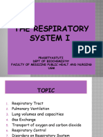 Respiratory System s2 2019