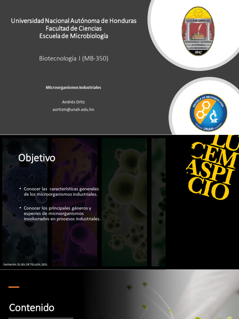 Microorganismos en la Industria Alimentaria | PDF | Microorganismo ...