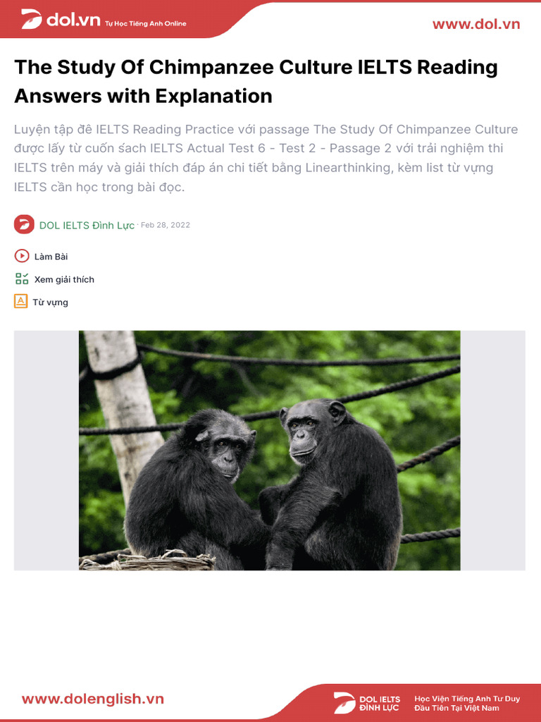 The Study of Chimpanzee Culture | PDF | Chimpanzee | Behavioural Sciences