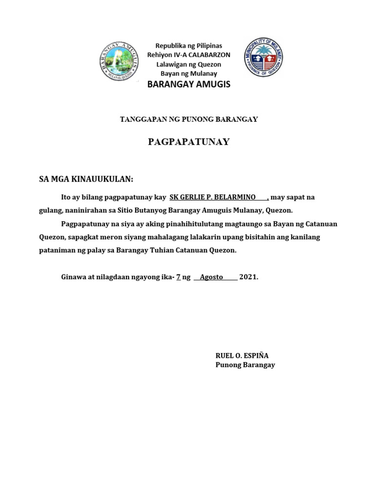 Travel Certificate | PDF