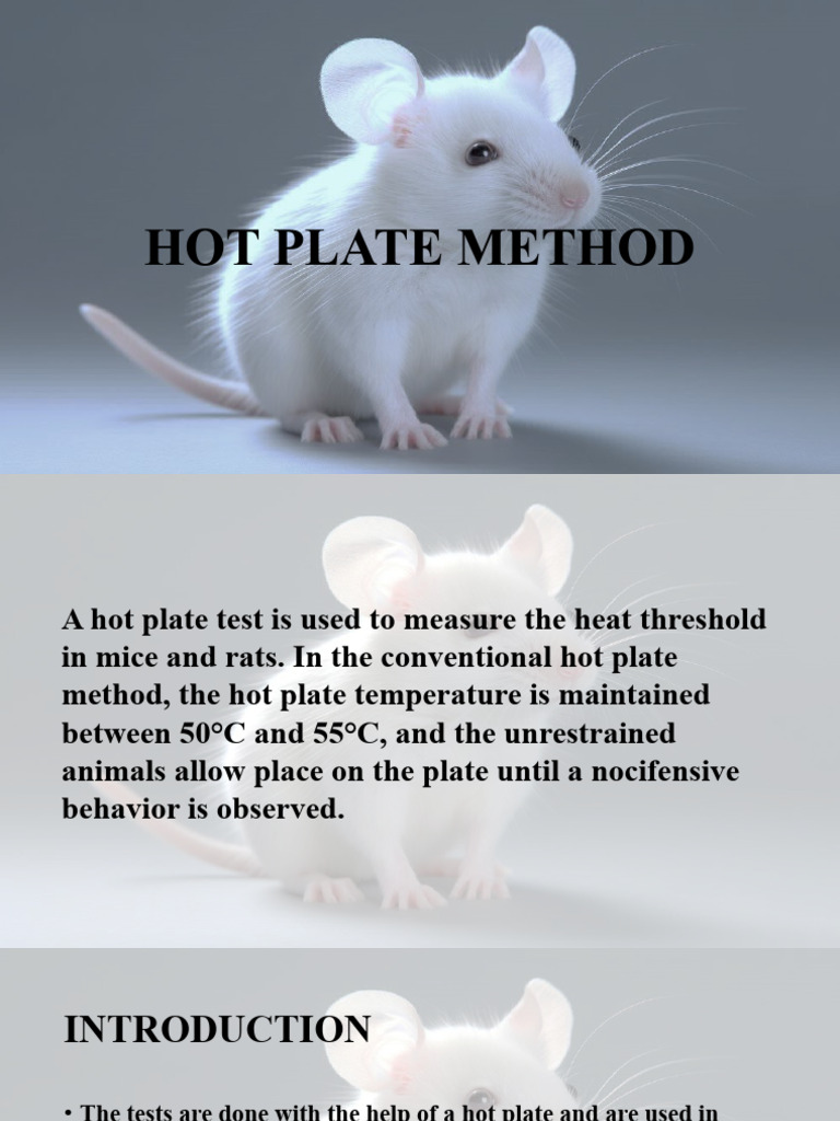 Hot Plate Method PDF Feeling Clinical Medicine