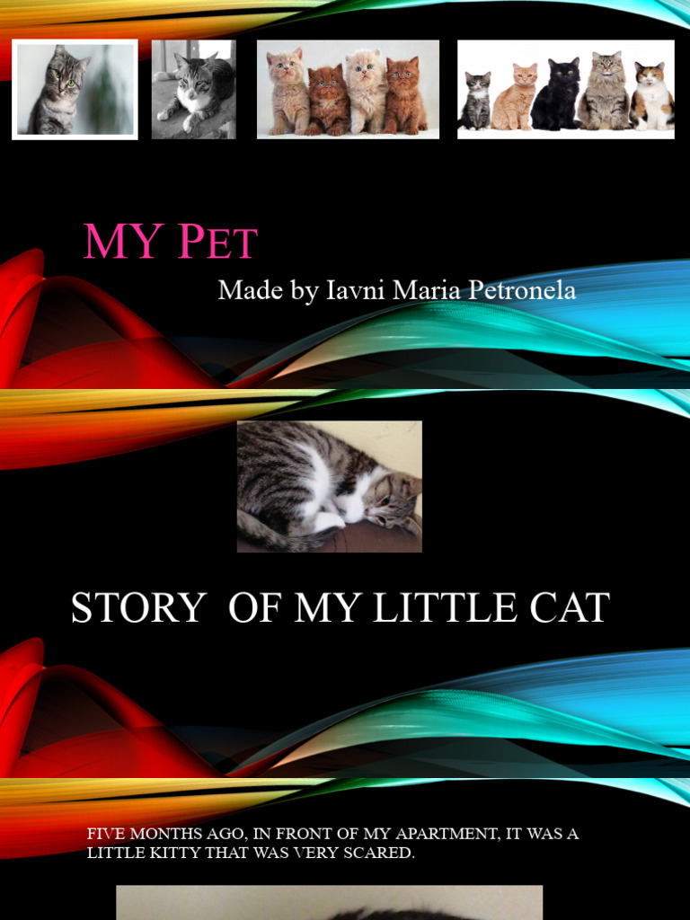 My Pet | PDF