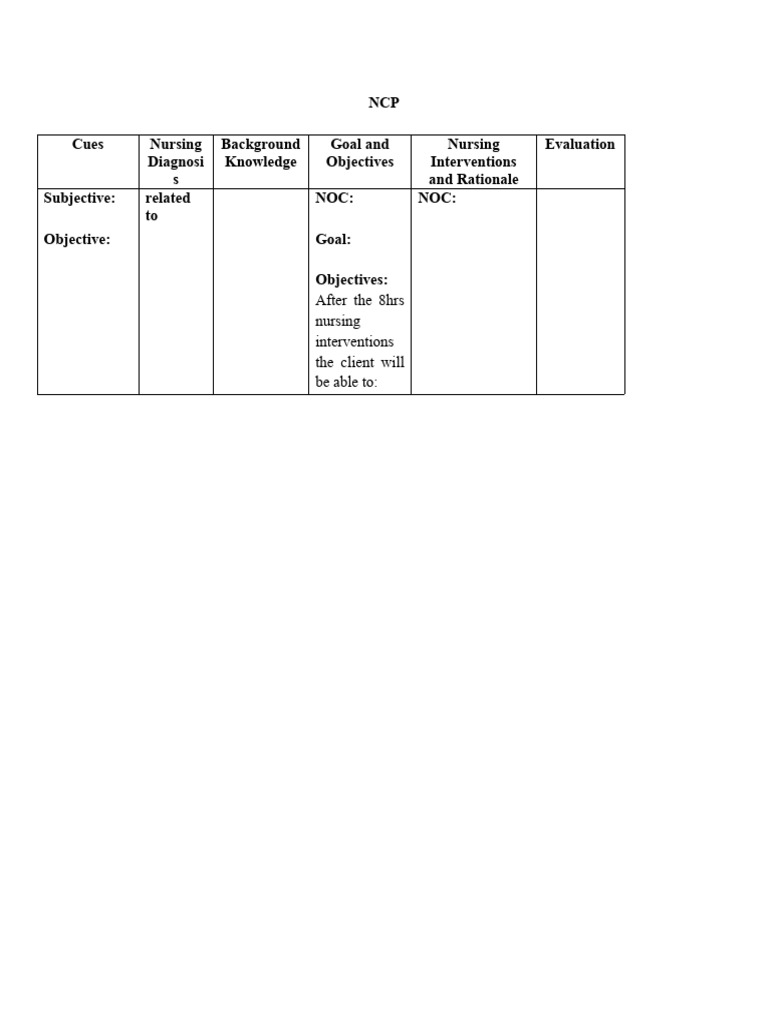 Nursing Care Plan Essentials | PDF