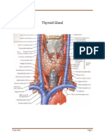 Thyroid Disorders 1