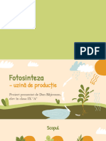 Proiect Fotosinteza