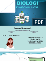 Plantae Kelompok 2