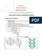 Lectia NR 17 Angiospermatophyta