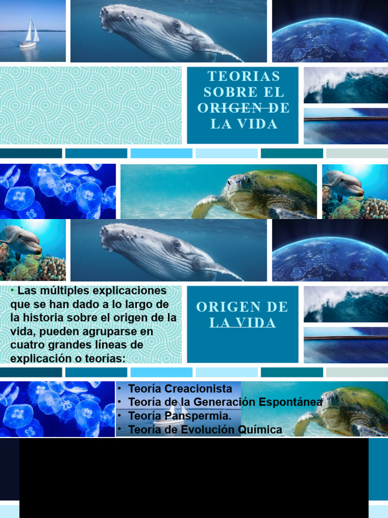 Teoria Sobre El Origen de La Vida | PDF | Naturaleza | Biología