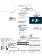 PDF Pathway Thalassemia - Compress
