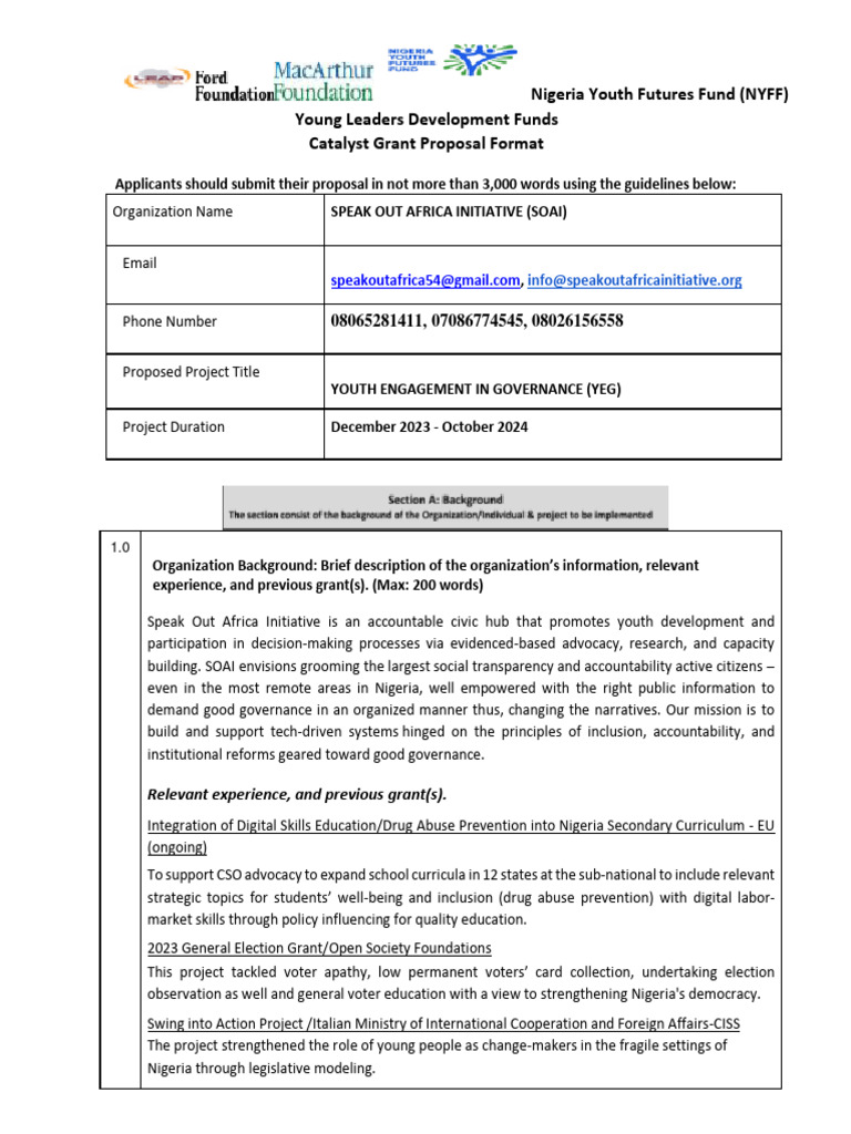 SOAI NYFFYLDF 2023 2024 Proposal Template (Catalyst Grantee Cat