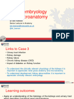 Case 3 Embryology and Microanatomy of The Kidneys (Lecture Slides)