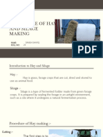 Procedure of Hay and Silage Making