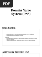 Domain Name System (DNS)