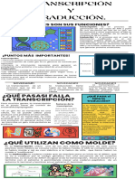 Infografía Tarea 2 Elias Guillen B