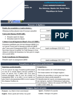 Mon CV PDF