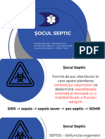 Socul Septic