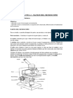 Practica 1 Manejo Del Microscopio