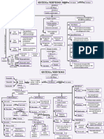 Mapa Conceptual Del Sistema Nervioso