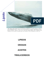 1-05 Lipidos