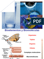 1-03 Bioelementos y Biomoleculas