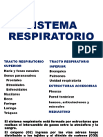 Sistema Respiratorio