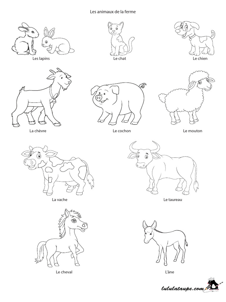 Animaux de la Ferme : Guide Complet | PDF