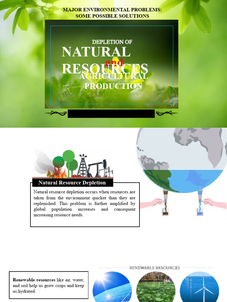 Natural Resources Depletion and Agricultural Production PDF