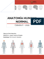 22 - Taller de Pelvis Masculina - Cátedra II de Anatomía Humana COMPLETADO